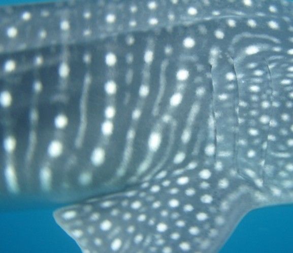 a0846434-7871-4a38-af2a-cc37c119bca8