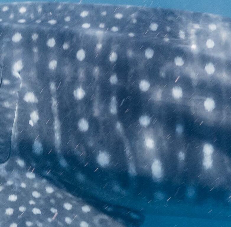 1655d7ca-fd93-4898-9237-a89f3973a931