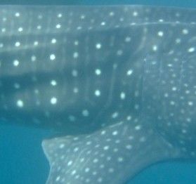 7126ec39-dd66-4410-a38f-05ffc1893810