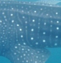 7126ec39-dd66-4410-a38f-05ffc1893810