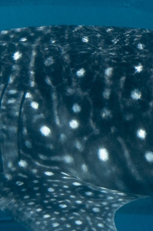 25faa725-63a4-4989-ac4d-b27659bf7373