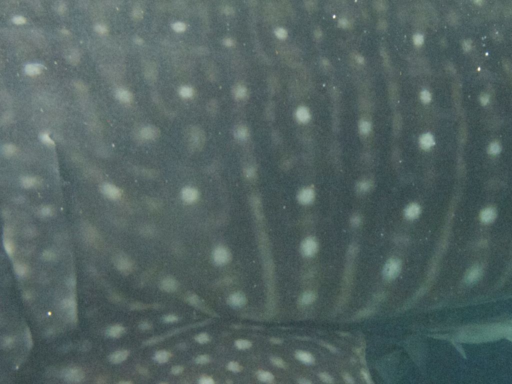 ba771490-14dc-4cb8-810e-edb15a597ab7