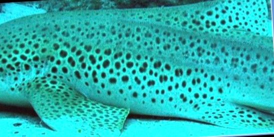 08da5230-60ce-4fda-a1b2-831a7be7f9a6