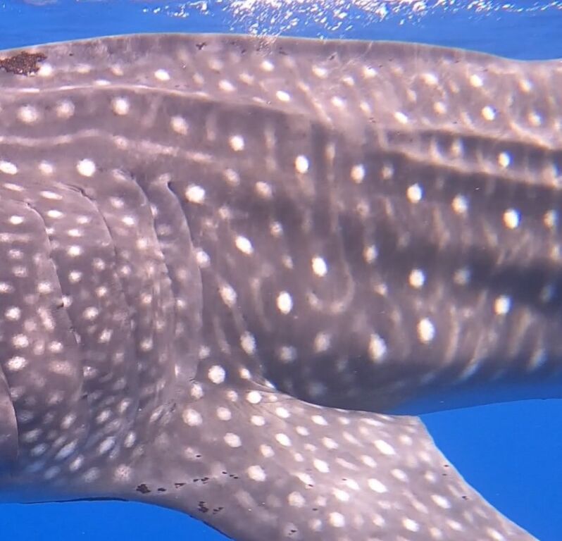 03231658-1a5e-41a4-a763-1f7da11499cd