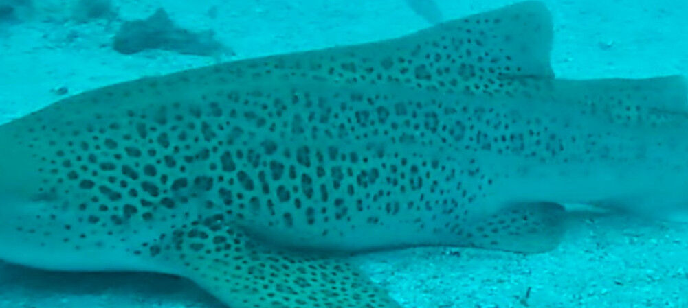 3a2751bc-ea70-4b83-b739-0ea300e7d27e