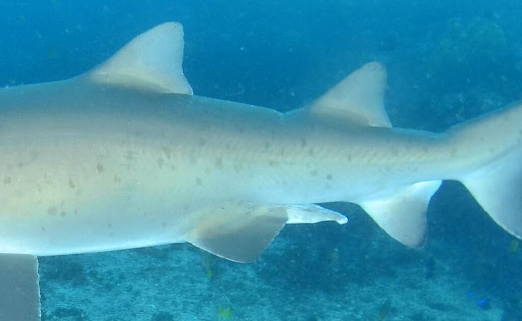 4f44ecc3-72fd-4682-87f2-f78086db62b4