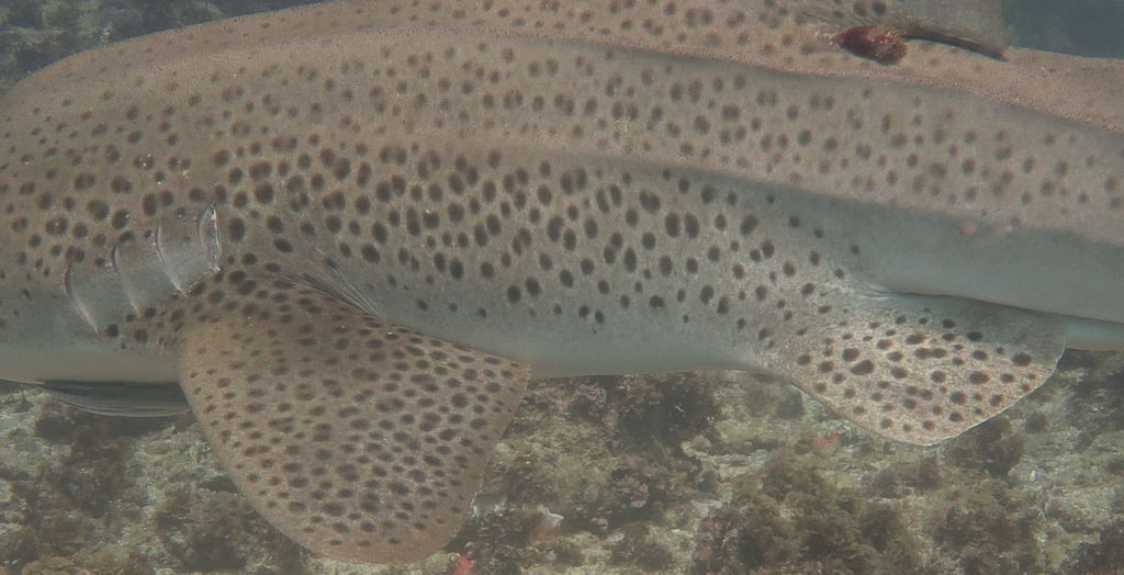 561242db-c3f9-47db-b3aa-8610cc38c12f