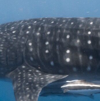 f811686f-7416-441f-874e-b85c7c7b5fc8