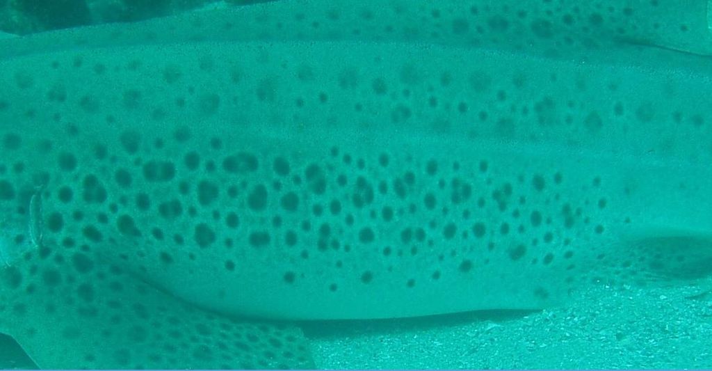 6a71fbbb-cbf2-40b8-bbe6-fd77d2197e6b