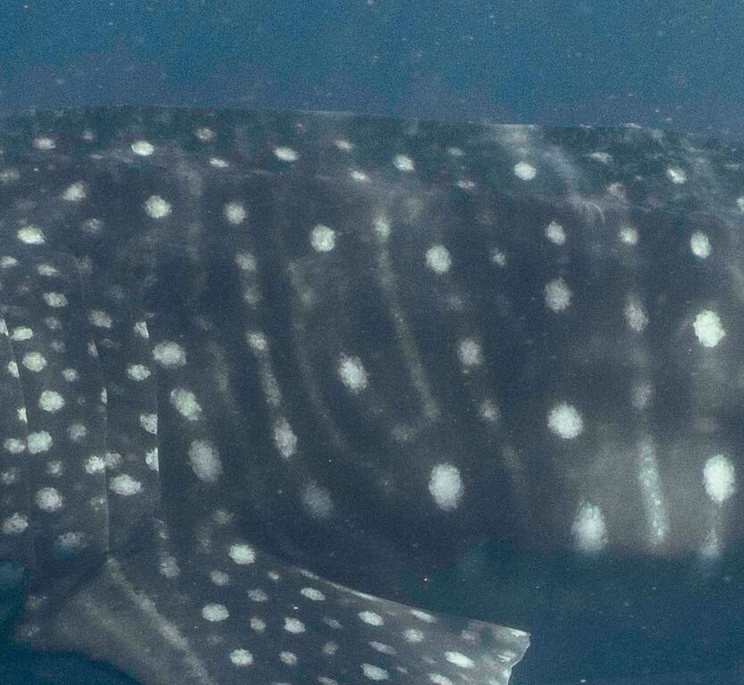 11214533-4123-4d81-a651-95b33ac8ffb6