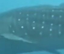 cfafd529-940f-4316-a35b-23511ae9d71a