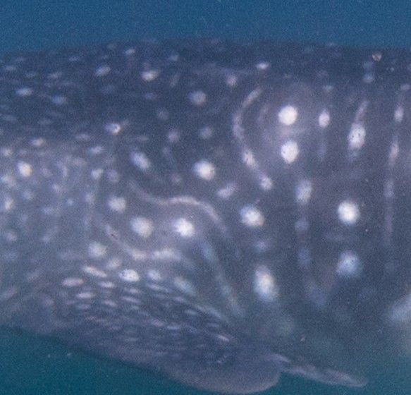 2dc15b0e-0f62-4e3e-a767-e4b7c3c78692