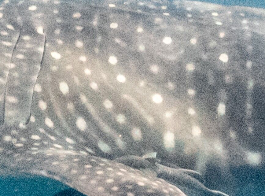 57f58dd2-f827-4c7c-ae70-40ec43d5968d