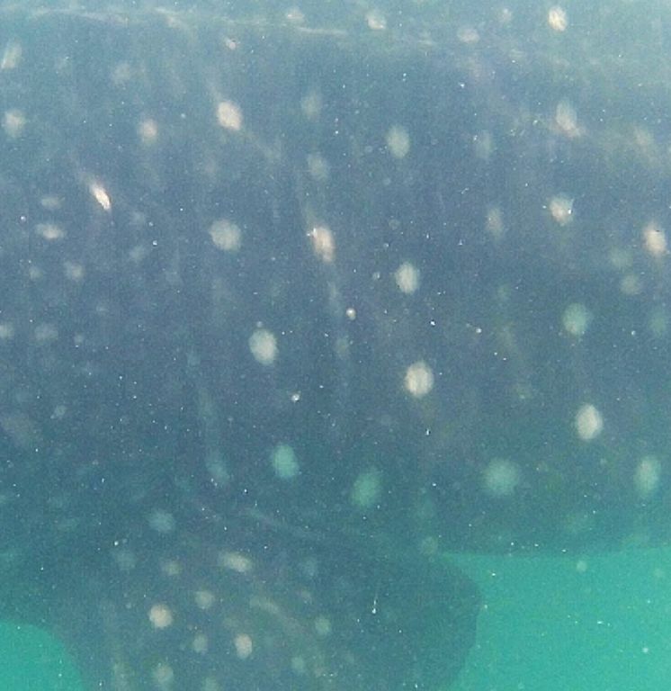 001fd785-be98-4ed4-995a-a96eaf80824d