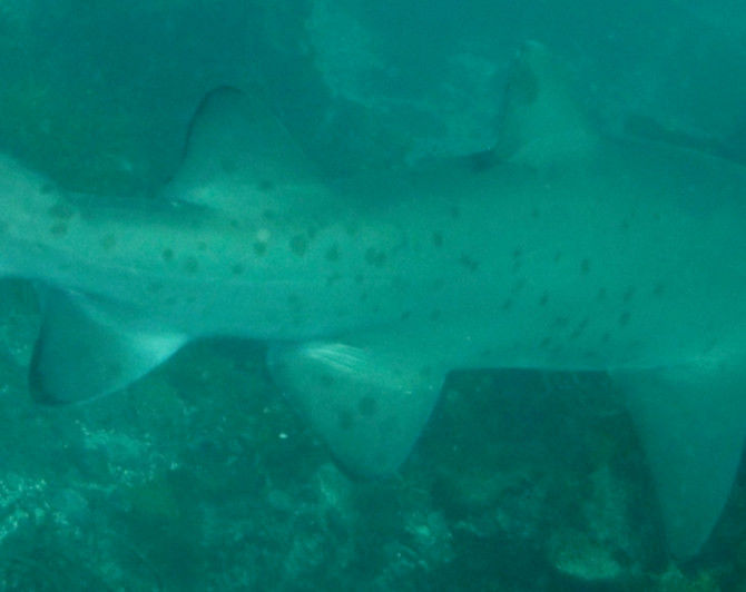 a5b66da6-f097-4a63-9975-9056cd1b1ff8