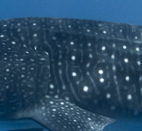 5f551a0b-ed54-4e85-86a8-fe70dd82bddf