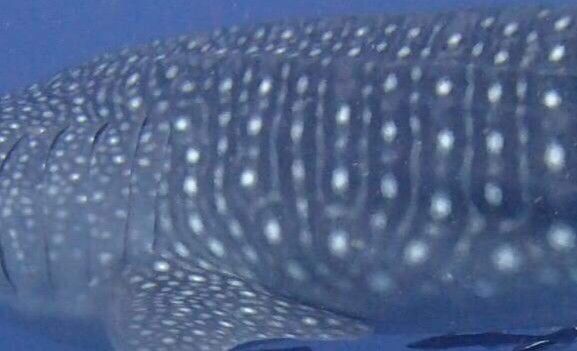 53305c44-d9e0-4c38-a0f3-7c9ddf0b5de2