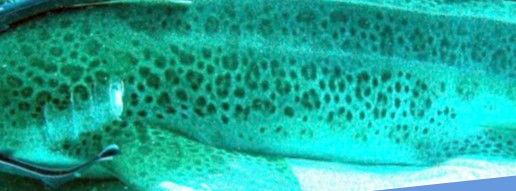 b507232d-423f-4078-84d2-09ff1b819984