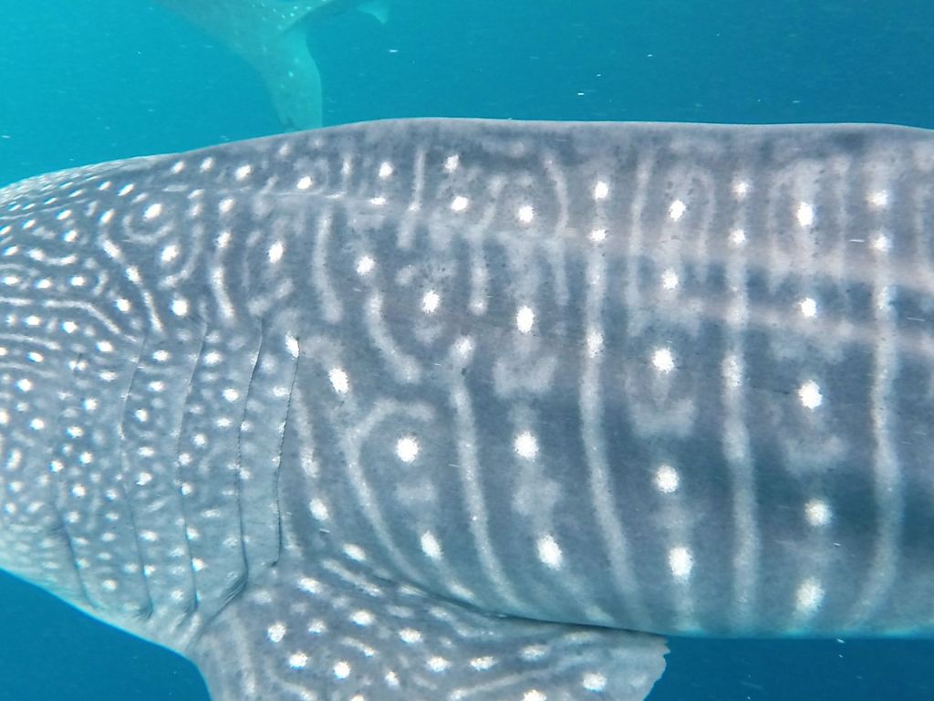 248df30f-2284-48ad-bcf9-4bcff7da682e