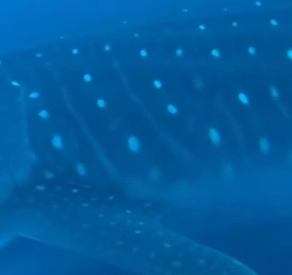 dda85bb0-0708-4a77-811d-b0b0904dcc25