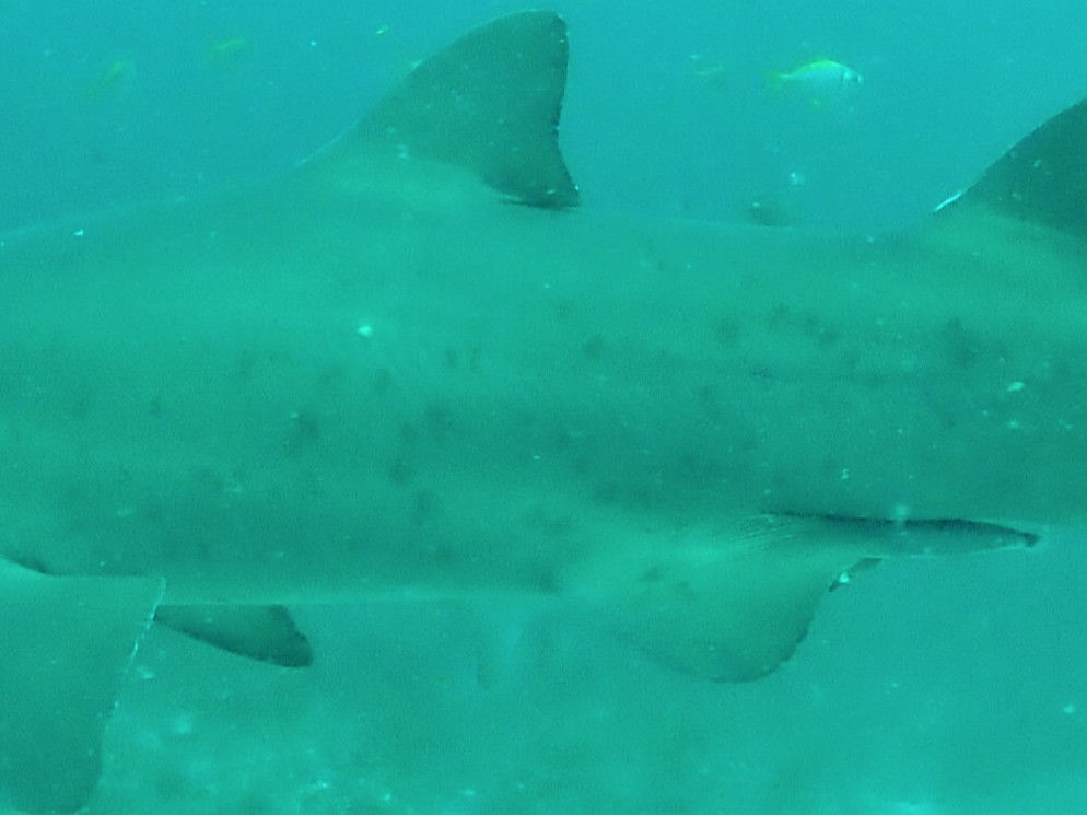 af83e204-5994-4191-9d3b-a2f408b4ea5d