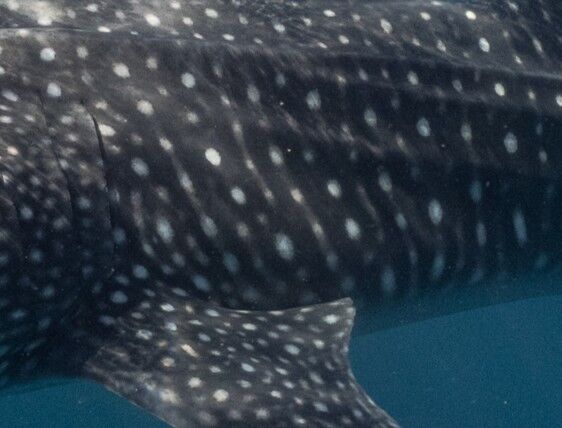 ef144677-a798-478c-93f1-1b17b831df86