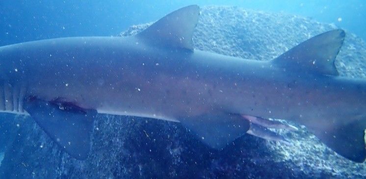 60ccd015-b3c1-410a-9d81-773cbcbe87dd