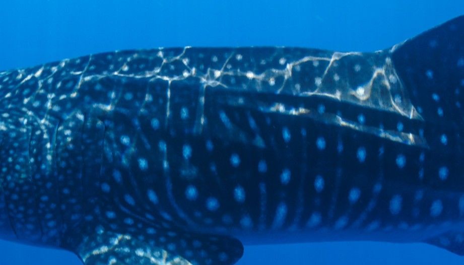 3e7e0ad1-3f27-44d0-a98a-362665d84327