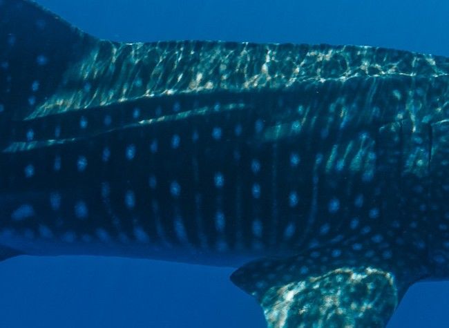 3e7e0ad1-3f27-44d0-a98a-362665d84327