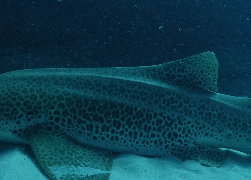 21570c0a-e3a4-4cbb-b150-ce8315ed17e9