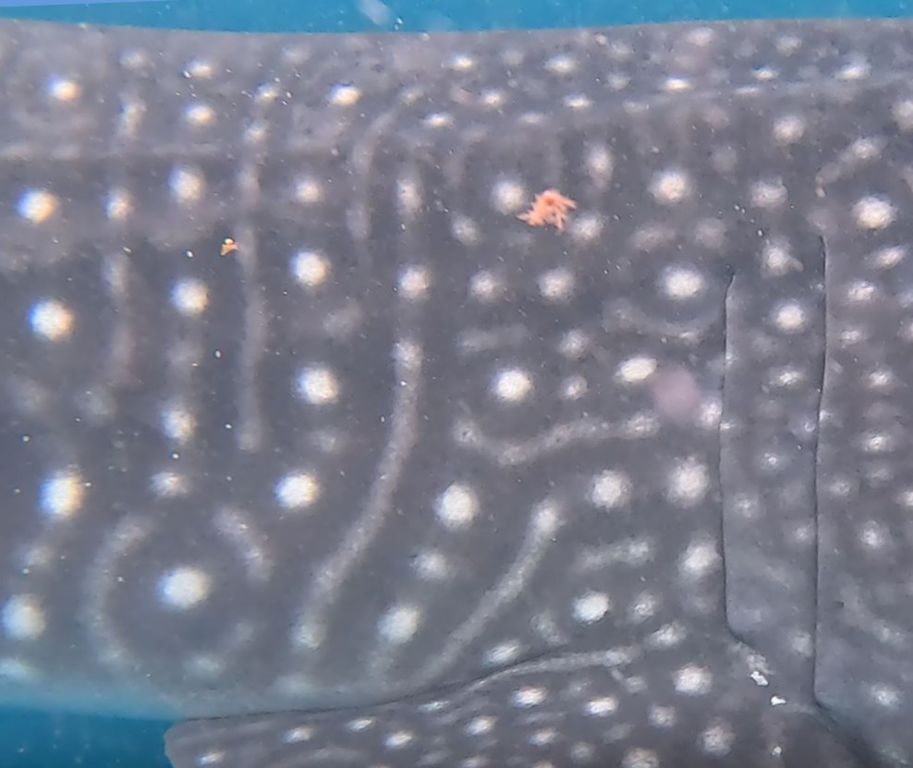 bab311a4-78c9-4ded-9f8a-7799369b557d