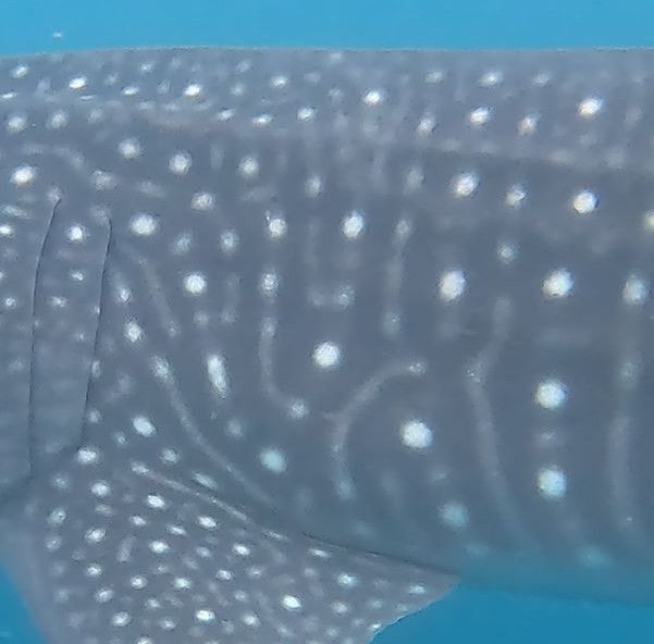 bab311a4-78c9-4ded-9f8a-7799369b557d