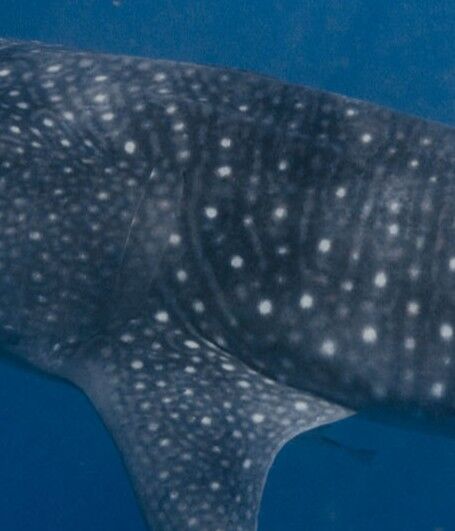 5acf5891-f105-45c7-8787-72444affe42b