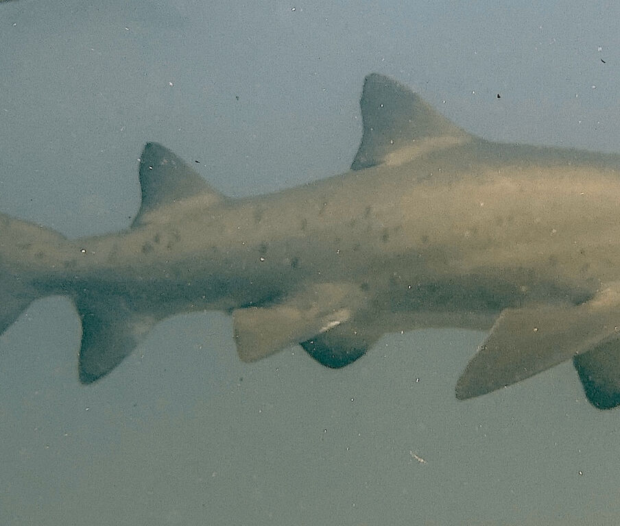 9afdda80-7c90-4cf6-9e37-0b4ed8816afc