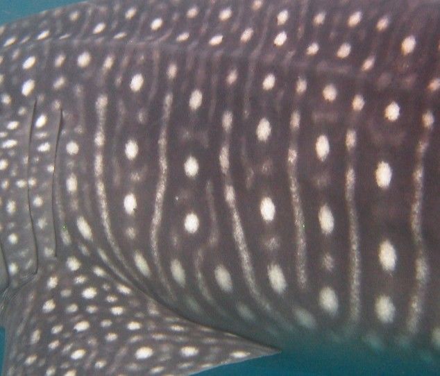 c80eaafa-7d63-4397-812a-b24f5ea5a693