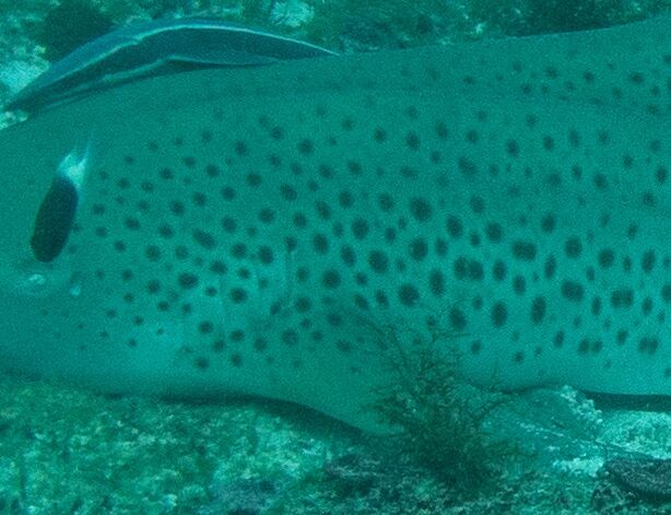 f3a1f118-72f7-42f9-b796-d76d08da9cc2