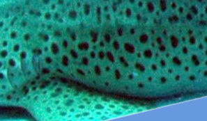 db2009bf-c9c3-46bb-a7df-2ded420c5339