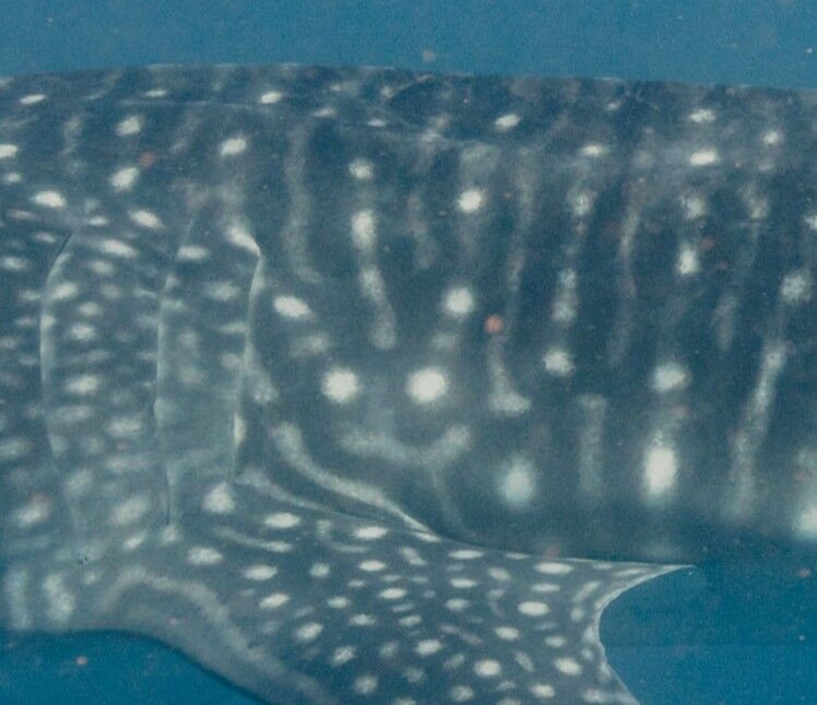 161b3c50-6b75-4be1-9f9d-fe734a7631f9