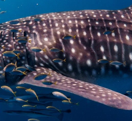 83f3771d-cca2-4dda-af1e-140d88582473