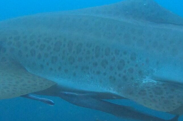 84e56780-f843-4543-99ca-85c0bd31286f