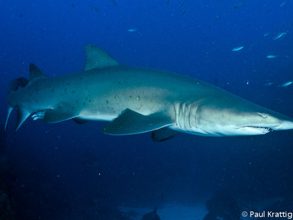 570c582f-d76a-4bcc-ad3d-ee85c4fa7f3f