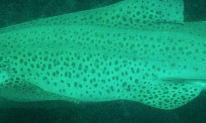 1c3f9687-5e97-4575-a686-99226039def6