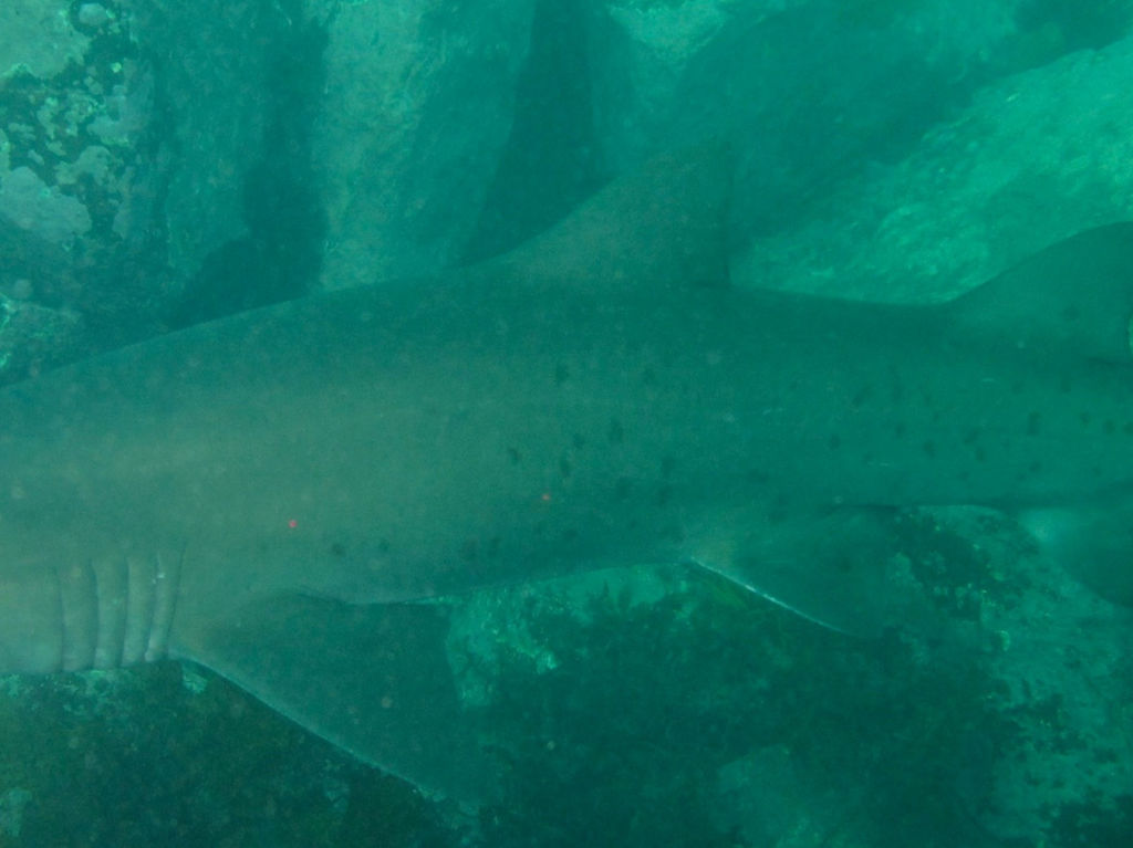 9fe1aba2-0088-4e3d-9ac4-88bd0d54c806