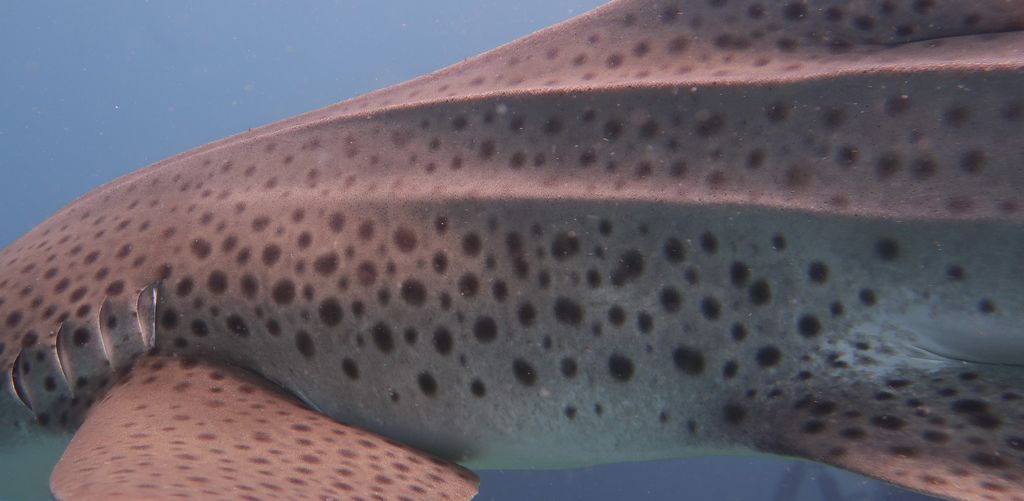 66767c8d-fc7a-44a3-a8ee-835d30b74de8