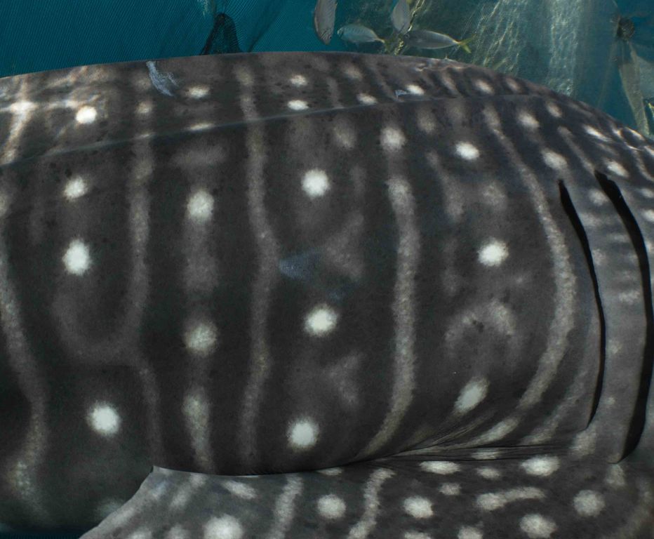 f53f3e85-df11-4006-9948-1dfc0bcffcd9