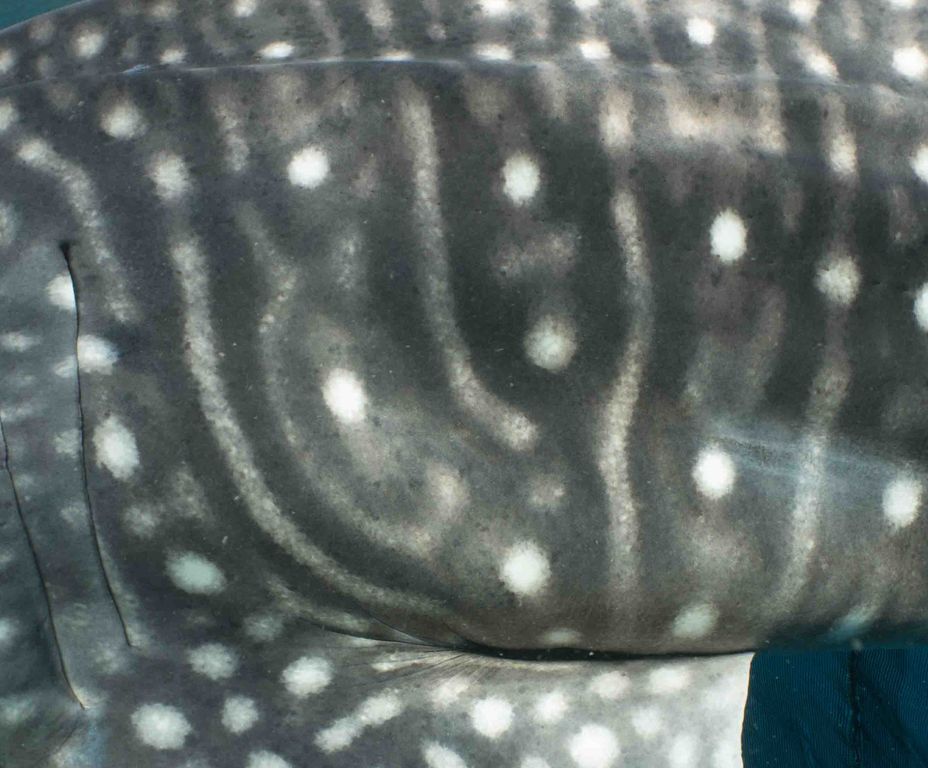 f53f3e85-df11-4006-9948-1dfc0bcffcd9