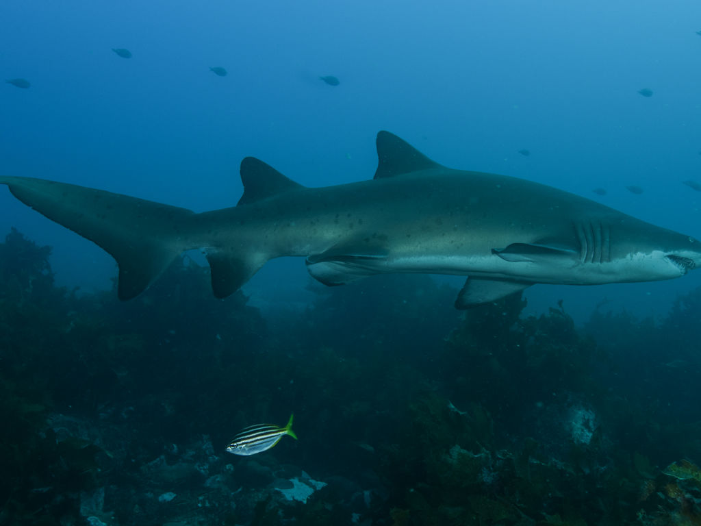 c7b89de9-7e1e-422c-b7bc-cbe65d0d819a