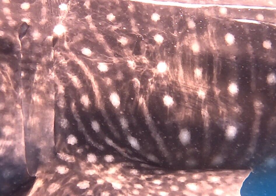 765a3516-9c24-441c-8511-77024b1a2e7f