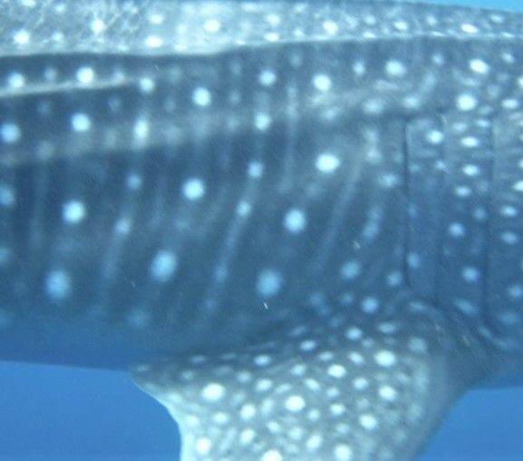 a51fe8d1-f4a6-406b-943c-7da437032611