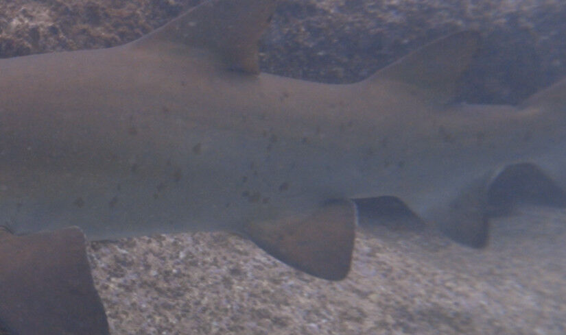 f2fac6ca-39ae-4b3f-8fcc-c1d6704609f8